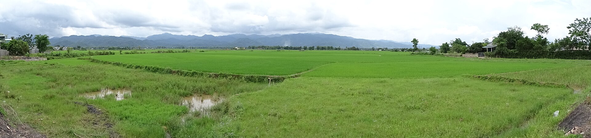 Ảnh minh họa cánh đồng Mường Thanh — không phải ảnh địa điểm này
